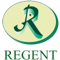 Logo site icon